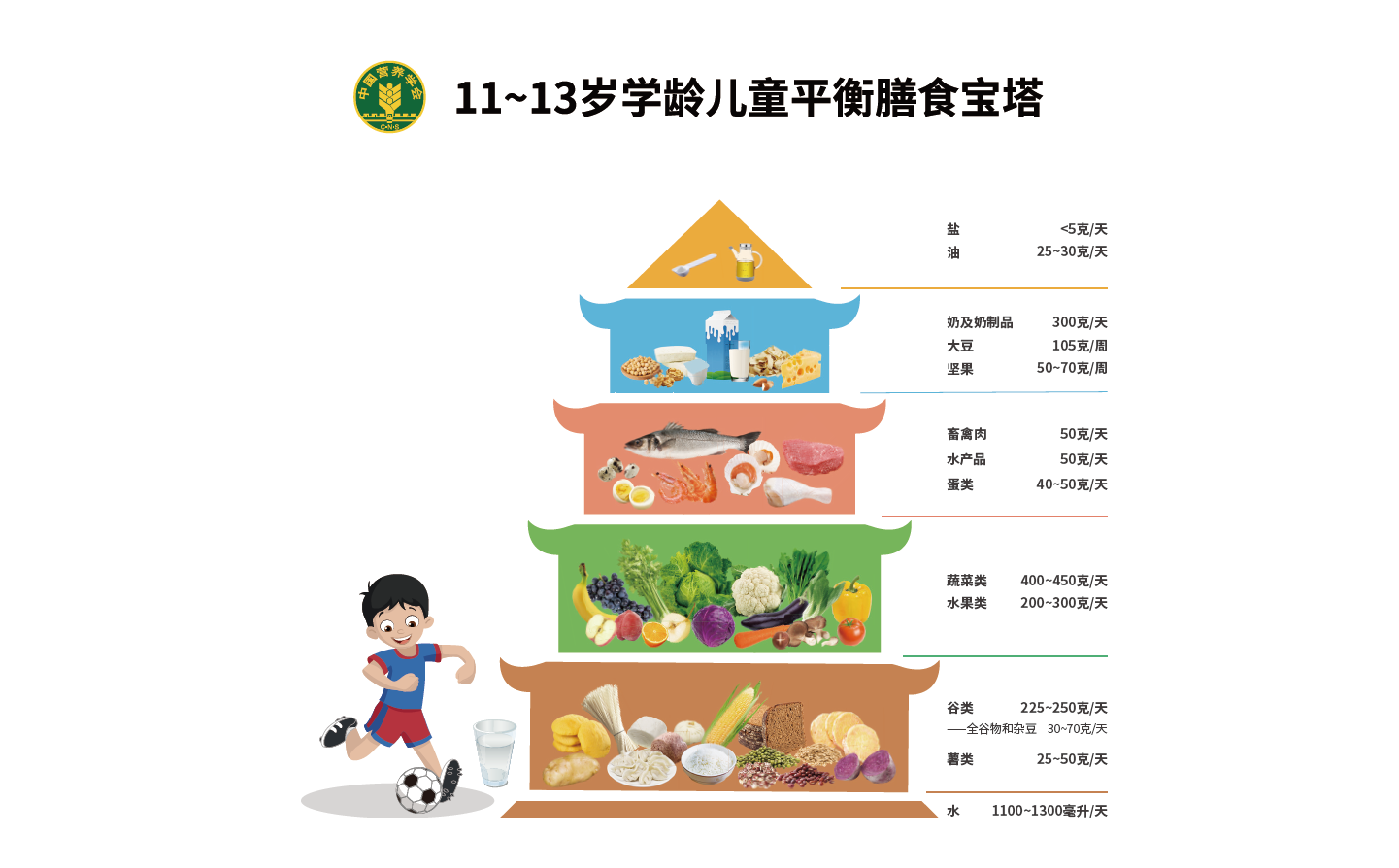 11~13岁.png