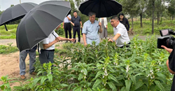 “科创中国”生命全周期营养健康产业科技服务团赴山东滨州调研——助力地方食品产业转型升级