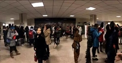 傲雪迎春腊梅香,扬帆启航营养梦