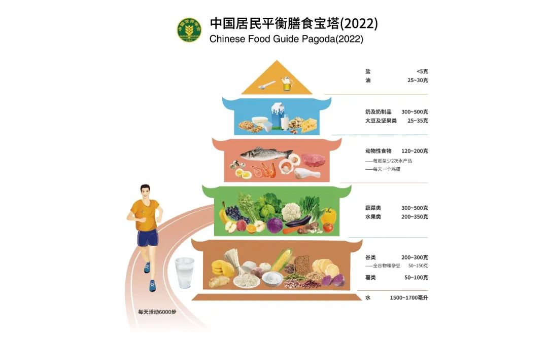 中国居民平衡膳食宝塔、餐盘(2022)图示修订和解析说明