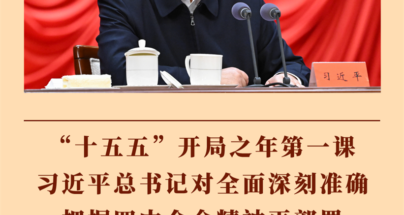 “十五五”开局之年第一课